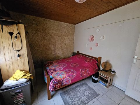 photo no. 7