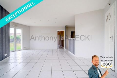 photo no. 1