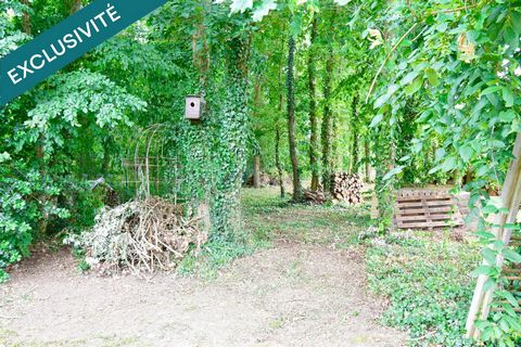 photo no. 13