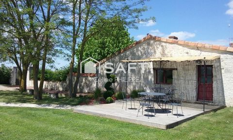 Propriété avec maison en pierre, gîte et piscine