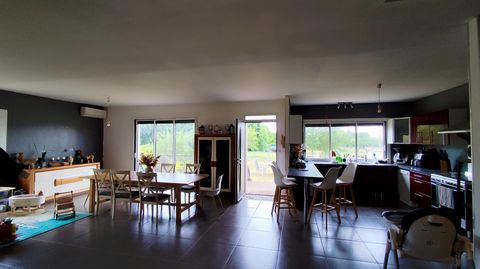 photo no. 12