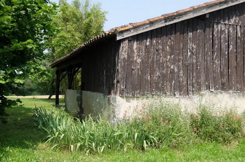 photo no. 18
