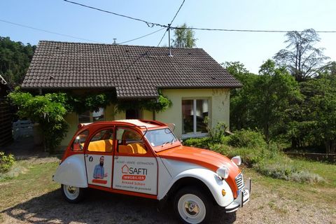 photo no. 12