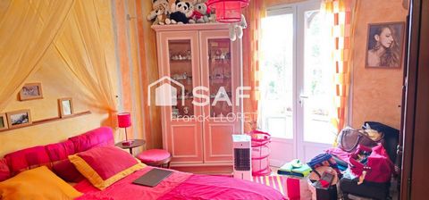 photo no. 9