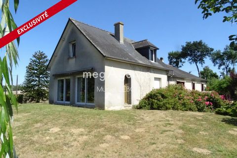 photo no. 1