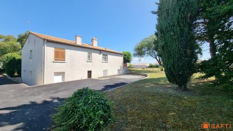 photo no. 14