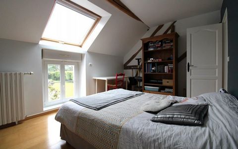 photo no. 8