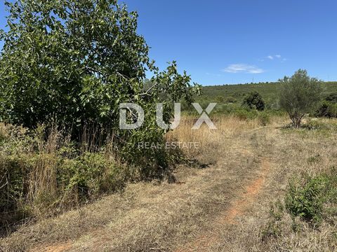 ZADAR, SUKOŠAN – Bouwgrond op 300 m van de zee, 1128 m² Bouwgrond te koop in Sukošan, een aantrekkelijke kustplaats, bekend om zijn jachthaven, goed onderhouden stranden, traditionele Dalmatische sfeer en ontwikkelde toeristische aanbod. Sukošan is e...