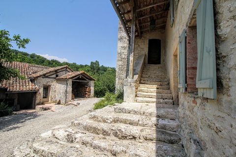 photo no. 10