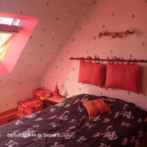 photo no. 8