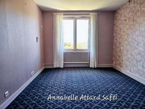 photo no. 9
