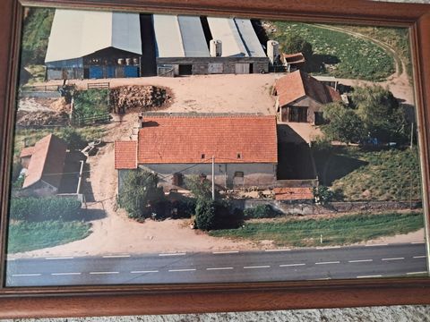 photo no. 1