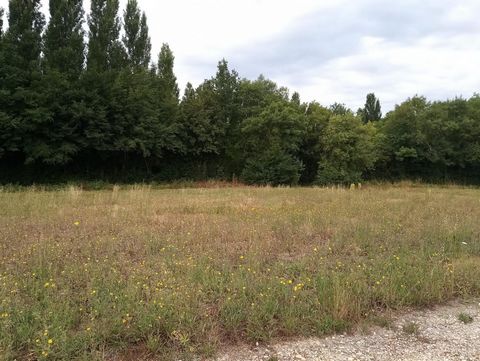 photo no. 1