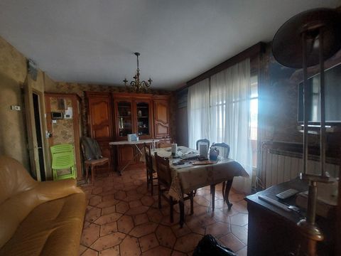 photo no. 6