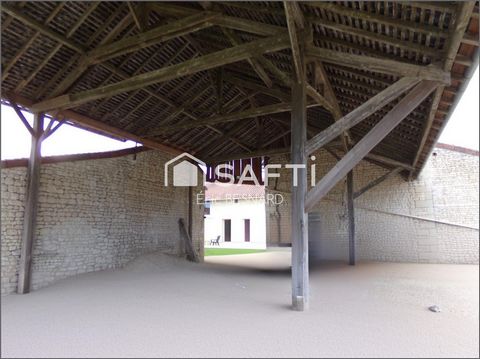 photo no. 12