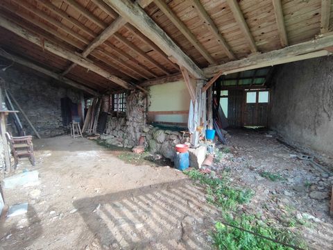 photo no. 8