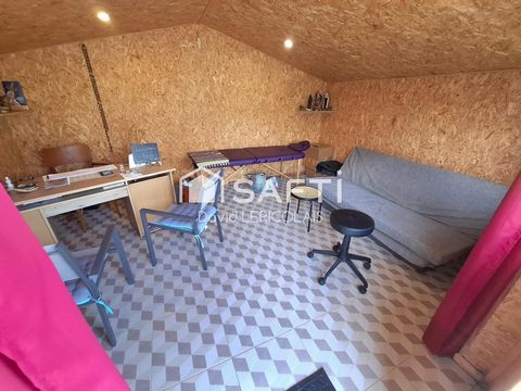 photo no. 15