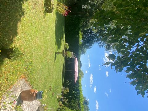 photo no. 10