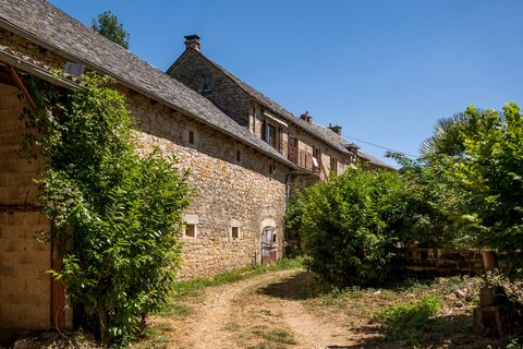 photo no. 3