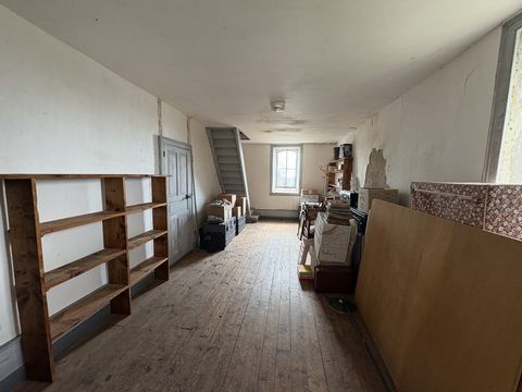 photo no. 11