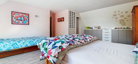 photo no. 11