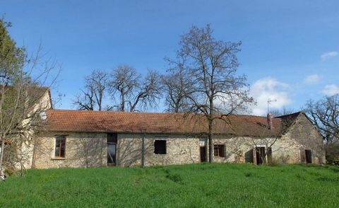 photo no. 23