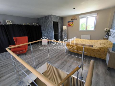 photo no. 12