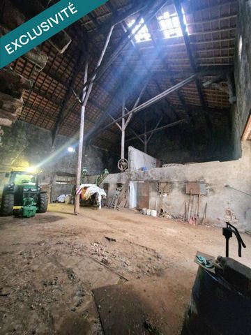 photo no. 15