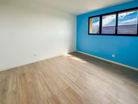 photo no. 11