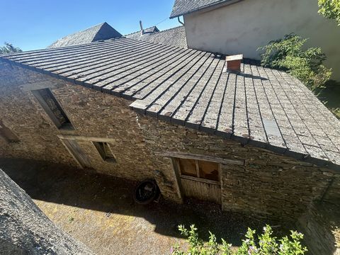 photo no. 16