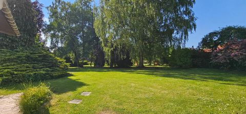 photo no. 14