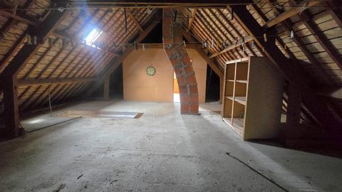 photo no. 12