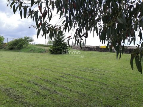 photo no. 26