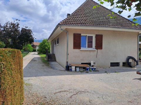photo no. 5