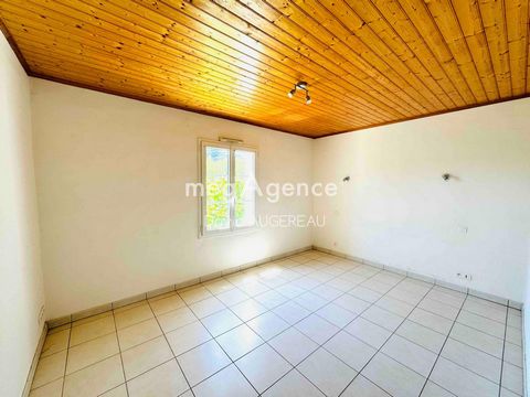 photo no. 11