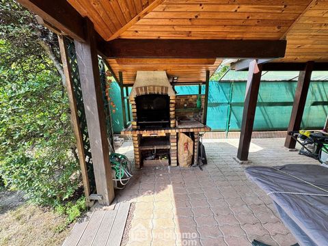 photo no. 10