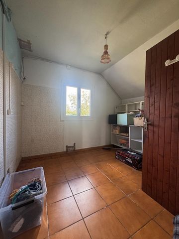 photo no. 12