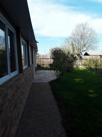 photo no. 5