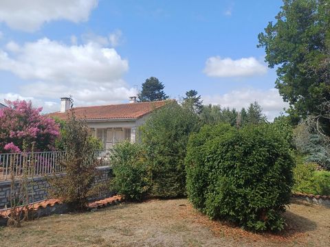 photo no. 16
