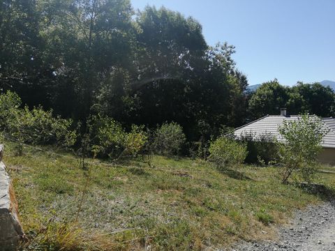 photo no. 4