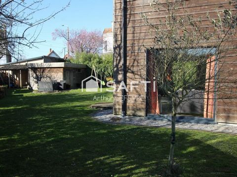 photo no. 11