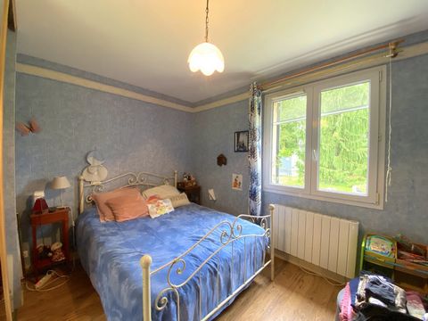 photo no. 11