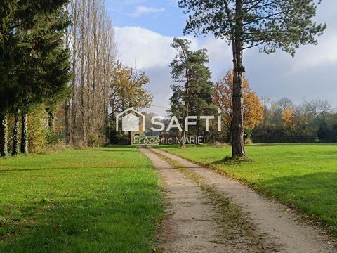 photo no. 11