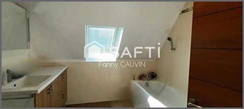 photo no. 10