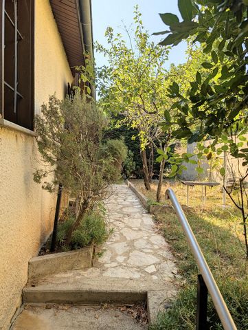 photo no. 11