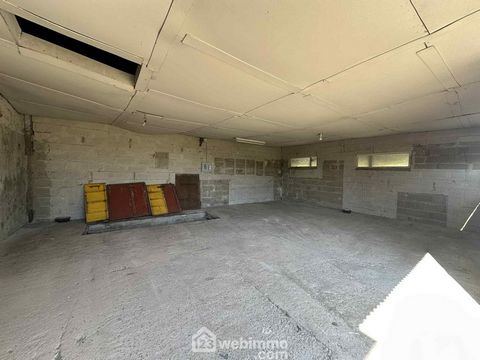 photo no. 17