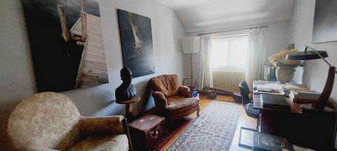 photo no. 6