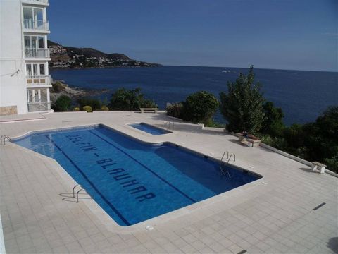 Die Wohnung in Rosas / Roses verfügt über 2 Schlafzimmer und bietet Platz für 6 Personen. Die Wohnung ist kokett, ist geräumig und hat 79 m². Es hat Blick auf das Meer. Es ist 0,80 km vom Sandstrand, 1,60 km vom Zentrum, 2 km vom Supermarkt, 2,80 km ...