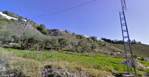 Plot of 18,910 square meters with Olive trees in Frigiliana Land with olive trees in full production, south orientation and ability to build 40m2 building with basement. Electricity and water available.