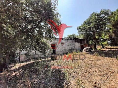 Small farm with land of 7,000 m2, all fenced, with various trees: olive trees, strawberry trees, fig trees, cork oaks. Construction to support agricultural activity with about 120 m2, used for holidays and leisure area, to be improved. The property i...